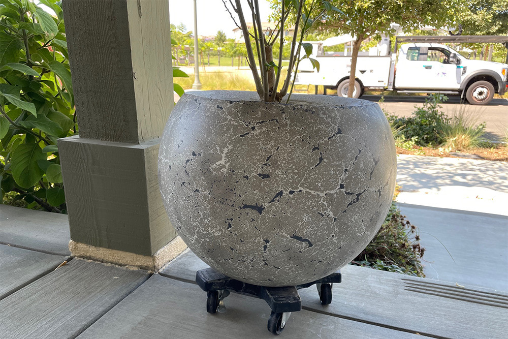 Round custom concrete planter with small tree, part of our custom concrete furniture near Thousand Oaks, California.